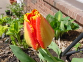 Enlarge photo 26