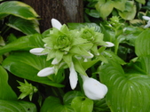Enlarge photo 40