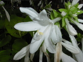 Enlarge photo 39