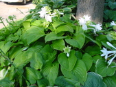 Enlarge photo 73