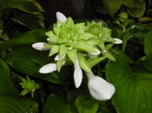 Enlarge photo 38