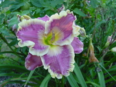 Enlarge photo 28