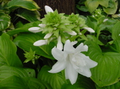 Enlarge photo 53