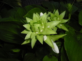 Enlarge photo 30