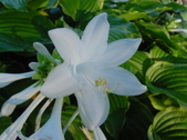 Enlarge photo 33