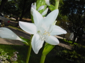 Enlarge photo 2