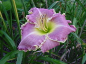 Enlarge photo 15