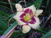 Enlarge photo 16