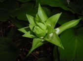 Enlarge photo 34