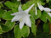 Enlarge photo 78