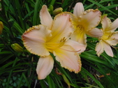 Enlarge photo 138