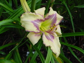 Enlarge photo 114