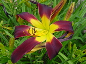 Enlarge photo 51