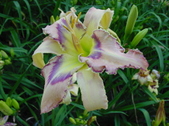 Enlarge photo 93