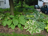 Enlarge photo 222