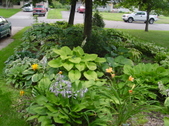 Enlarge photo 223