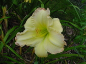 Enlarge photo 241