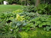 Enlarge photo 224