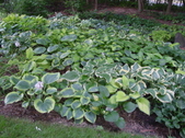 Enlarge photo 226