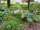 Enlarge photo 227