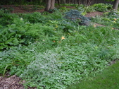 Enlarge photo 228