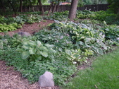 Enlarge photo 229