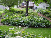 Enlarge photo 233