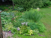 Enlarge photo 234