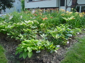 Enlarge photo 156