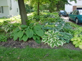 Enlarge photo 158