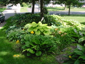 Enlarge photo 159