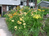 Enlarge photo 115