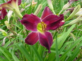 Enlarge photo 242
