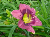 Enlarge photo 47