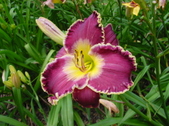 Enlarge photo 146