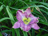 Enlarge photo 189