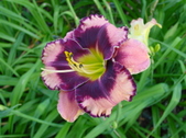 Enlarge photo 39