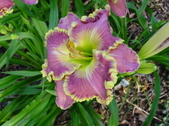 Enlarge photo 110