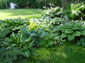 Enlarge photo 160