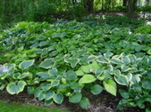 Enlarge photo 162