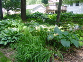 Enlarge photo 163