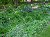 Enlarge photo 164