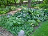 Enlarge photo 165
