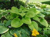 Enlarge photo 126