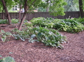 Enlarge photo 232