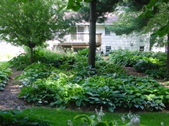 Enlarge photo 168