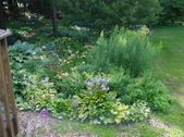Enlarge photo 169
