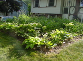 Enlarge photo 8