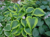 Enlarge photo 116