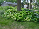 Enlarge photo 157
